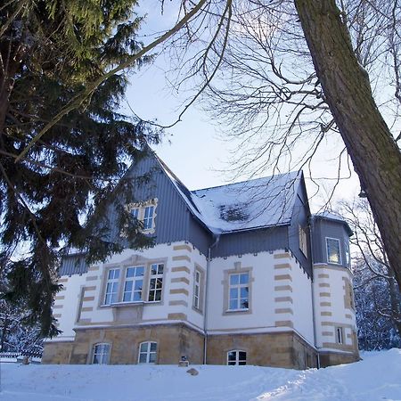Villa-Unger Altenberg  Exterior foto