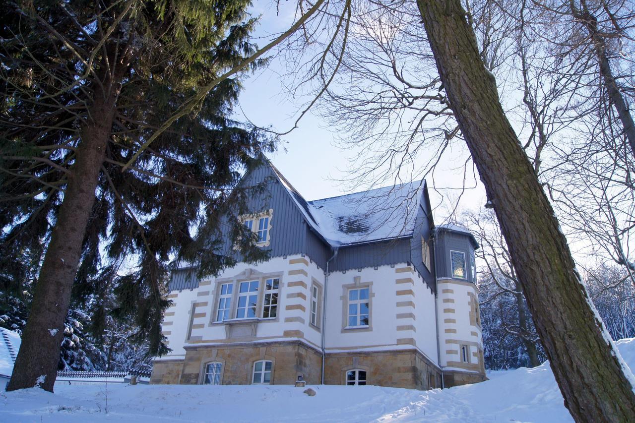 Villa-Unger Altenberg  Exterior foto
